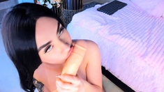 Pretty Babe Sucking With Her Favorite Sex Toy