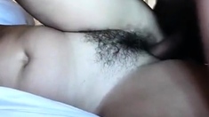 Cock plays with hairy pussy