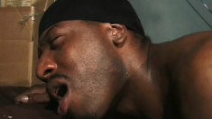 Two muscular ebony men blow each other well before some deep anal